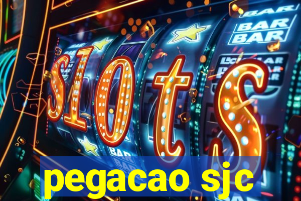 pegacao sjc